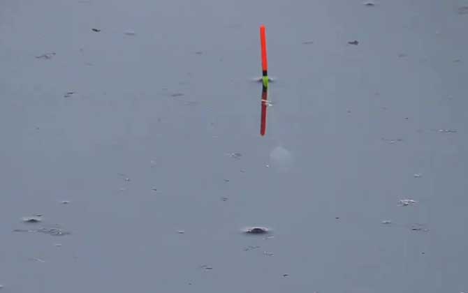 滑铅钓法的优点和缺点