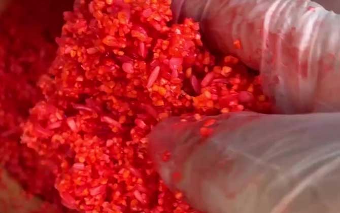 野钓用酒米打窝效果好吗